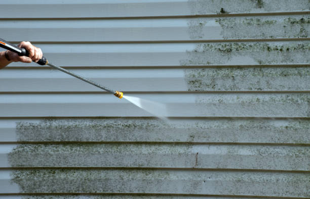 Best Fence Cleaning  in Paradise, CA