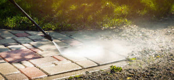 Best Solar Panel Cleaning  in Paradise, CA