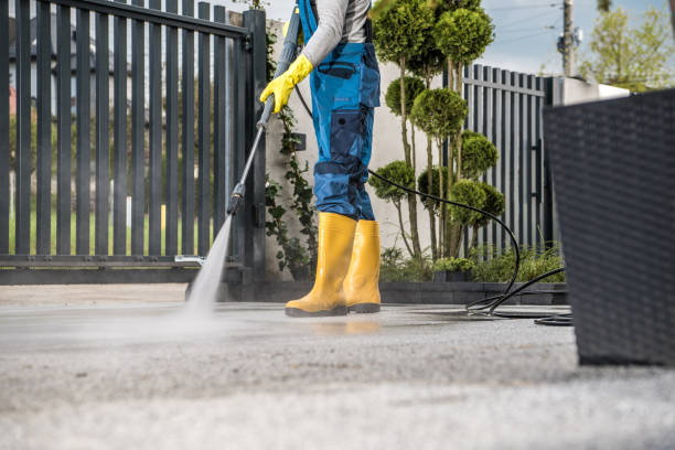 Solar Panel Cleaning in Paradise, CA